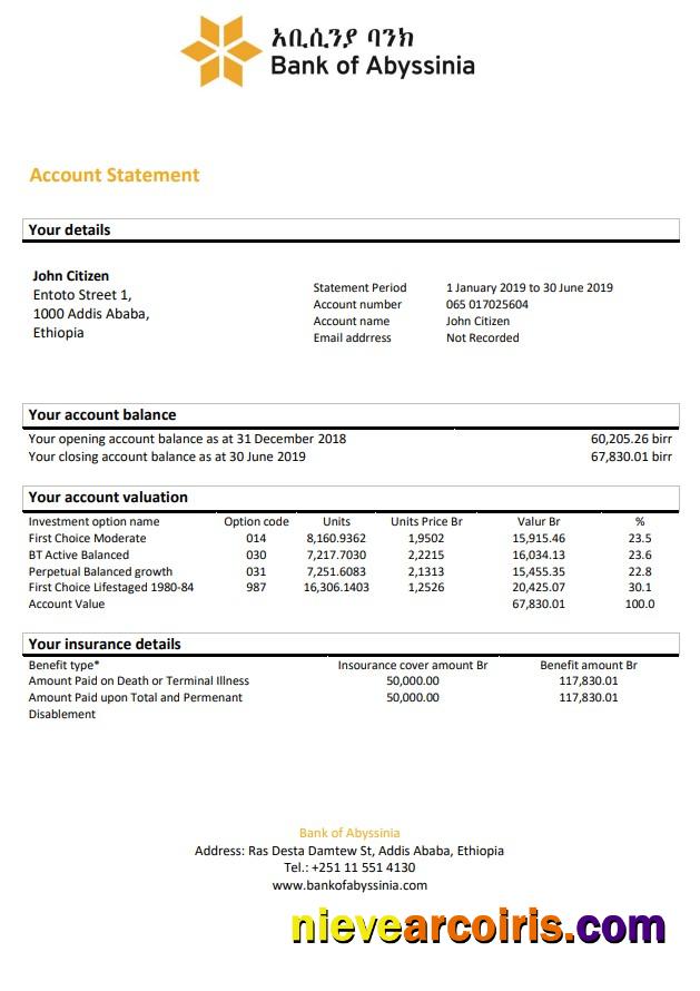 Ethiopia Bank of Abyssinia bank statement